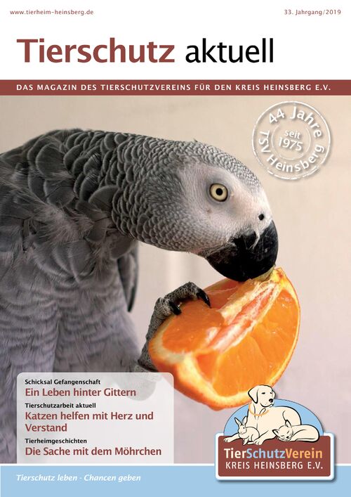 Titelbild des Magazins Tierschutz aktuell 2019